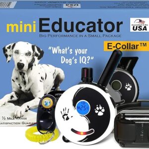 Educator ET-300 Zen Mini E Collar for Dog Training with Remote - 1/2 Mile Range, Waterproof, 100 Blunt Stimulation Levels, Tone or Vibration Mode, Night Light Tracking for Small, Medium & Large Dogs