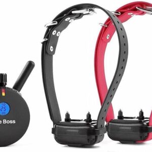 Educator E-Collar Humane Dog Training Collar with Remote, 100 Safe Tapping Stimulation Levels, Night Light, Waterproof, Rechargeable, 1 Mile 2 Large Dogs, Black